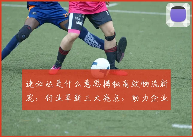 速必达是什么意思揭秘高效物流新宠，行业革新三大亮点，助力企业腾飞