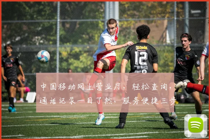 中国移动网上营业厅，轻松查询，通话记录一目了然，服务便捷三步走，体验无忧。