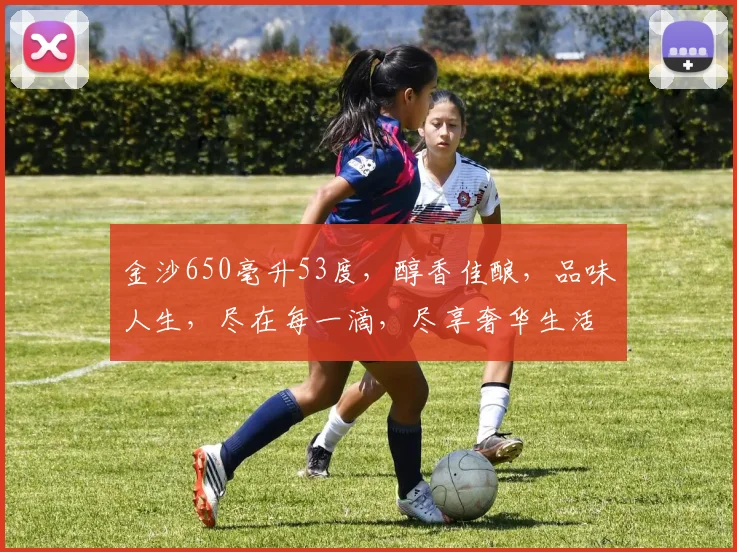金沙650毫升53度，醇香佳酿，品味人生，尽在每一滴，尽享奢华生活。